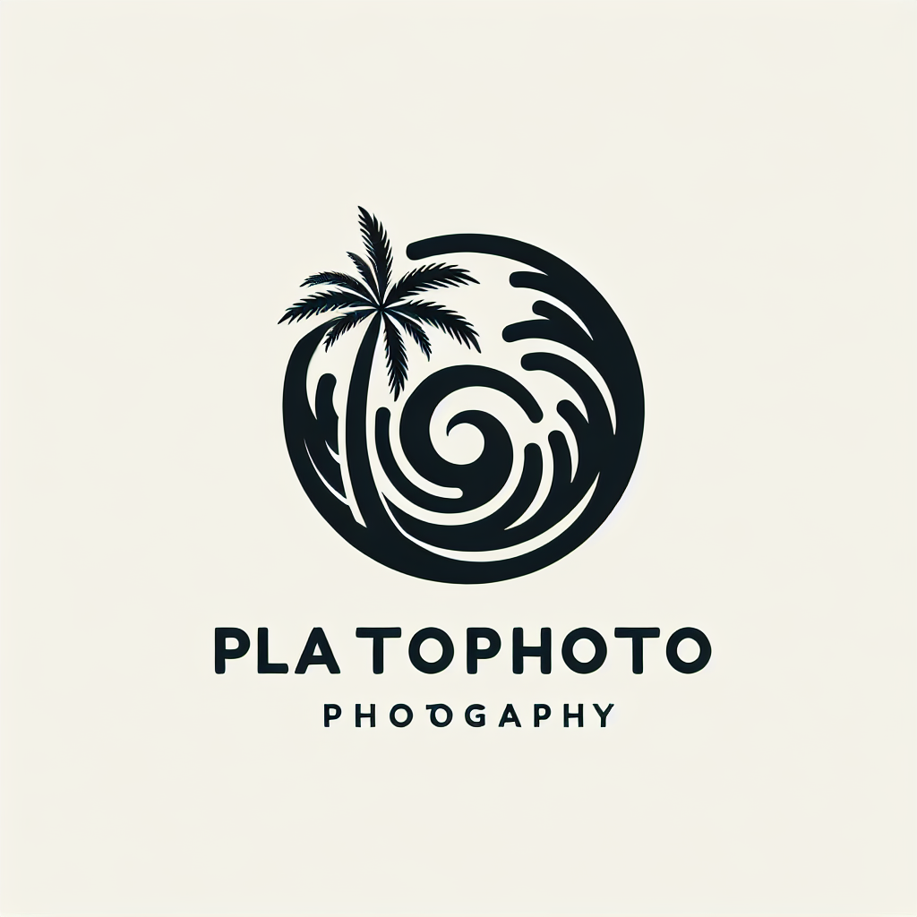 Logo concept for palmphoto.com.au
